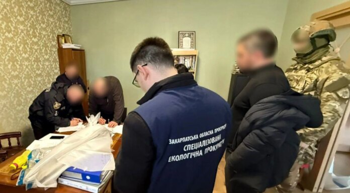 Незаконно добывал цеолит на 11 млн гривен — на Закарпатье задержали директора завода