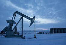 Интерес покупателей к российской нефти в Азии растет, но цены остаются стабильными — Reuters