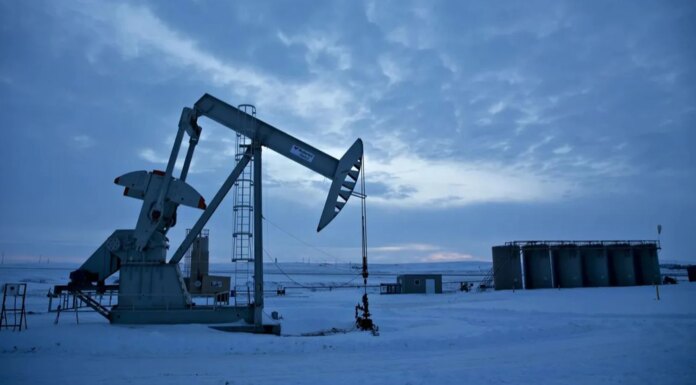 Интерес покупателей к российской нефти в Азии растет, но цены остаются стабильными — Reuters