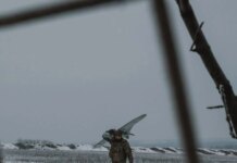 Генштаб о ситуации на фронте: произошло 117 боевых столкновений, враг запустил более 4,6 тыс. дронов-камикадзе