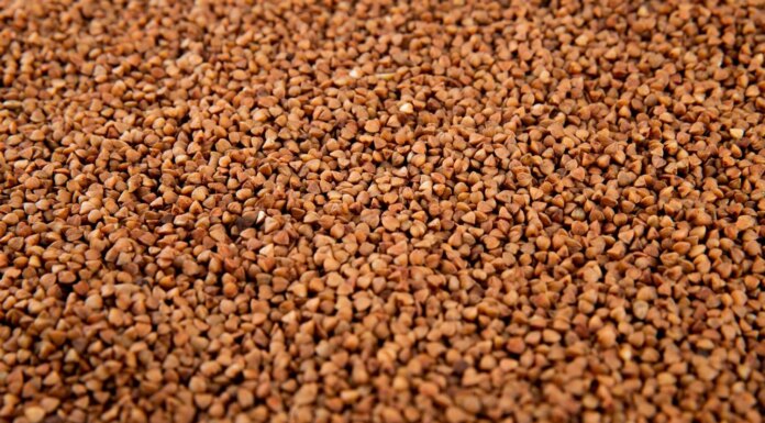 Цены на гречку и хватит ли запасов, чтобы дождаться нового урожая – прогноз