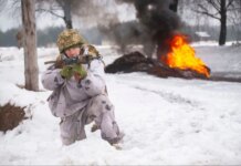 Возле Покровска продолжаются ожесточенные бои за Гришино, в поселке остаются гражданские — ДШВ