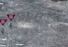 Десантники 77-й бригады ДШВ показали ликвидацию группы оккупантов возле Загрызово на Купянском направлении