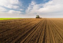 Весенняя посевная стартует позже – есть ли риски из-за подорожания горючего и что будет с ценами на продукты