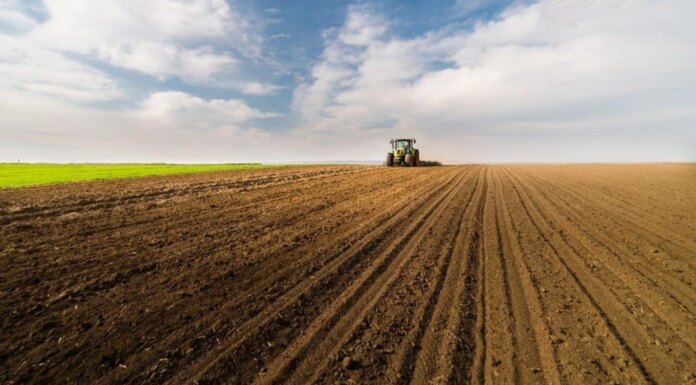 Весенняя посевная стартует позже – есть ли риски из-за подорожания горючего и что будет с ценами на продукты