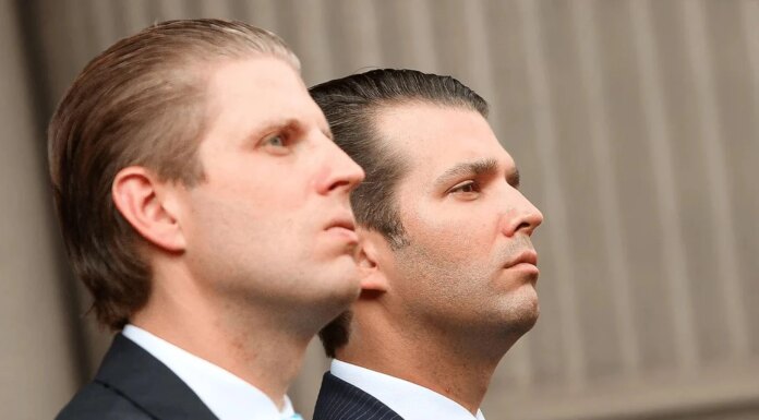 Сыновья Трампа планируют перепродавать украинские технологии дронов Пентагону — WSJ