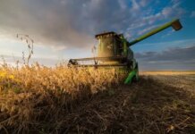 Евроинтеграция агросектора — в Украине заговорили о риске потерь на миллиарды