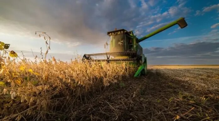 Евроинтеграция агросектора — в Украине заговорили о риске потерь на миллиарды