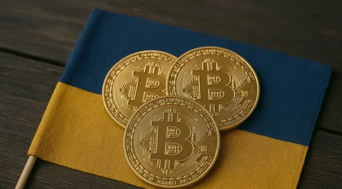 Госфинмониторинг фиксирует операции с криптовалютой для финансирования терроризма, но мешает отсутствие соответствующего законодательства