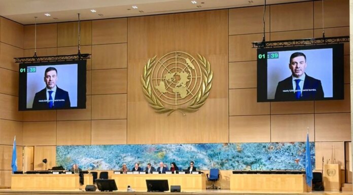 Более 15 000 мирных украинцев погибли от действий рф за время войны — Лубинец