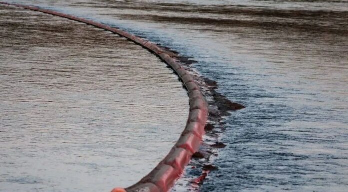 Загрязнение Днестра после атаки РФ – какие регионы пострадали больше всего