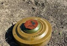 За февраль на минных заграждениях ликвидировано почти 700 оккупантов — Генштаб