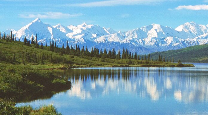 Нефтяные гиганты инвестировали 163 миллиона долларов в новый проект США на Аляске