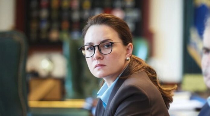 Свириденко задекларировала 1,3 млн грн зарплаты, более 3,2 млн грн гонораров, а также квартиры в Киеве и Чернигове