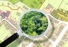 Кто должен контролировать использование городской земли и почему нарушения могут годами оставаться незамеченными