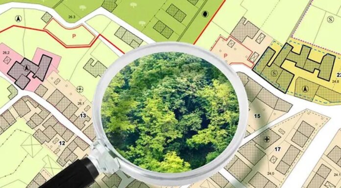 Кто должен контролировать использование городской земли и почему нарушения могут годами оставаться незамеченными