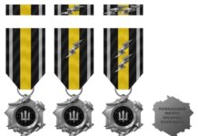 В Украине ввели новую военную награду за успехи в РЭБ