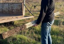 На Одещині засудили чоловіка за напад і серію крадіжок, — ФОТО