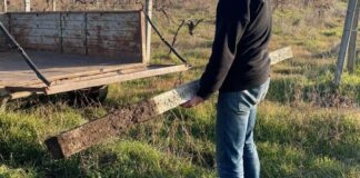 На Одещині засудили чоловіка за напад і серію крадіжок, — ФОТО