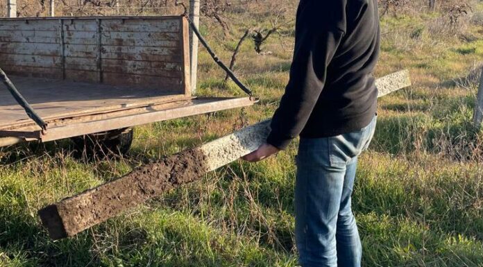На Одещині засудили чоловіка за напад і серію крадіжок, — ФОТО