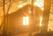 Згоріли будинки бази відпочинку: ДСНС показали наслідки атаки на Одещину, — ФОТО