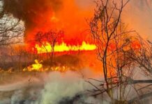 Суха трава вже горить: на Одещині фіксують десятки пожеж