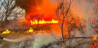 Суха трава вже горить: на Одещині фіксують десятки пожеж