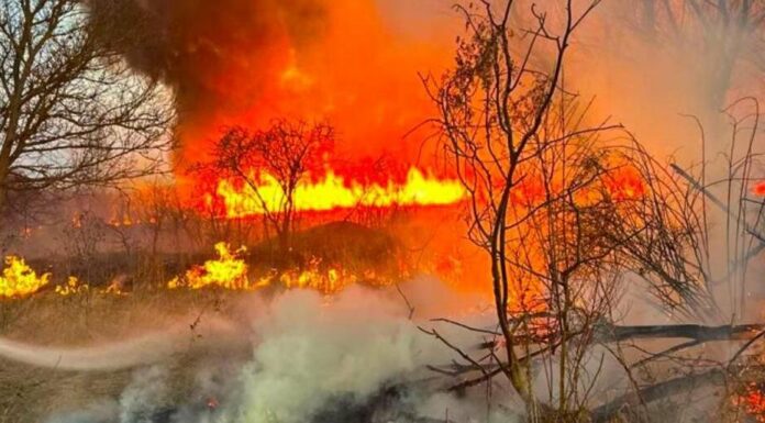 Суха трава вже горить: на Одещині фіксують десятки пожеж