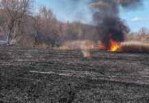 Люди палять — земля горить: Одещина задихається від пожеж