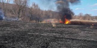 Люди палять — земля горить: Одещина задихається від пожеж