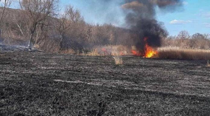 Люди палять — земля горить: Одещина задихається від пожеж