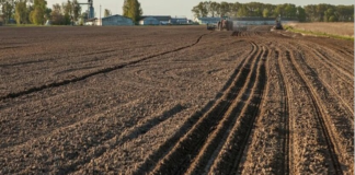 Земельные участки украинцев внепланово проверят: к кому нагрянут инспекторы