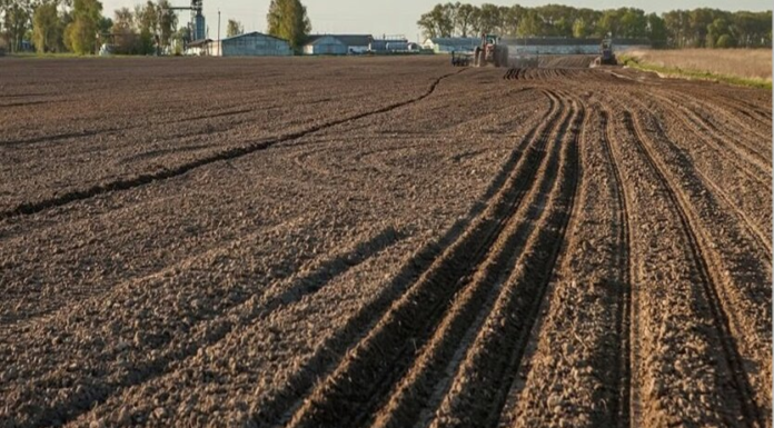 Земельные участки украинцев внепланово проверят: к кому нагрянут инспекторы
