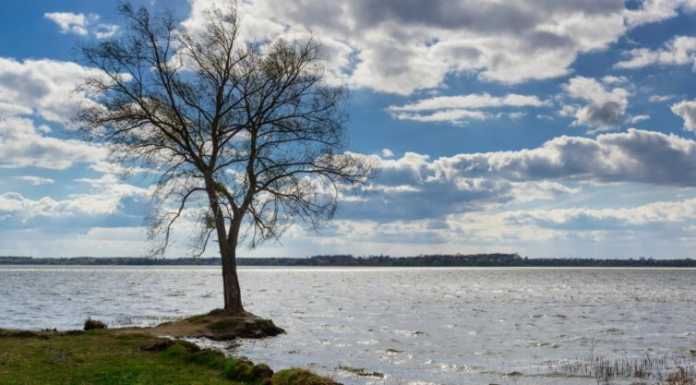 Ночные заморозки возвращаются: Диденко предупредила, какие области «накроет» первыми
