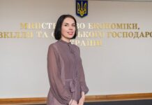 Мінекономіки опрацьовує концепцію часткової приватизації стратегічних активів