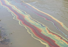 Тривожні плями на воді в Одеській області: що відбувається з річкою Дністер