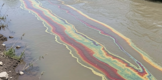 Тривожні плями на воді в Одеській області: що відбувається з річкою Дністер