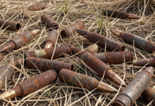 Авіабомба та снаряд: на Одещині рятувальники натрапили на боєприпаси Другої світової