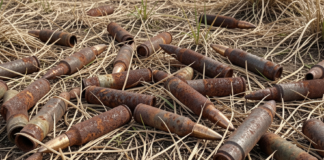 Авіабомба та снаряд: на Одещині рятувальники натрапили на боєприпаси Другої світової