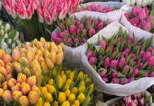 Скільки коштують квіти до 8 березня в Одесі: ціни на Привозі та в магазинах, — ФОТО