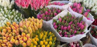 Скільки коштують квіти до 8 березня в Одесі: ціни на Привозі та в магазинах, — ФОТО