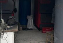 «Ремонт-примара» в одеському зоопарку: правоохоронці викрили махінації з бюджетом, — ФОТО