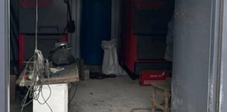 «Ремонт-примара» в одеському зоопарку: правоохоронці викрили махінації з бюджетом, — ФОТО