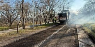 В Одесі розпочалося масштабне озеленення узбережжя, — ФОТО