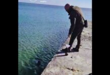 Ланжерон, Фонтан, Фонтанка: чи виявили нафтопродукти у морі біля Одеси