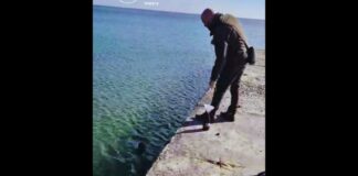 Ланжерон, Фонтан, Фонтанка: чи виявили нафтопродукти у морі біля Одеси