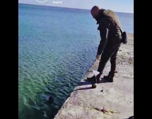 Ланжерон, Фонтан, Фонтанка: чи виявили нафтопродукти у морі біля Одеси