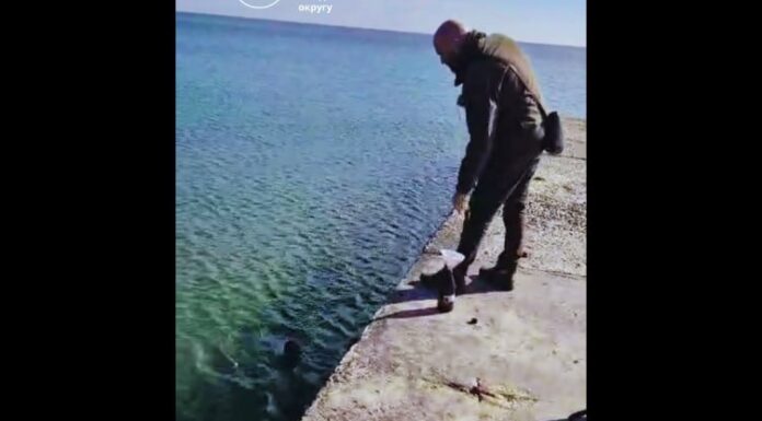 Ланжерон, Фонтан, Фонтанка: чи виявили нафтопродукти у морі біля Одеси