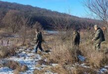 На Одещині під час відстрілу лисиць і шакалів зафіксували порушення