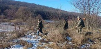 На Одещині під час відстрілу лисиць і шакалів зафіксували порушення